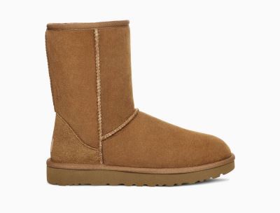 UGG Classic Short II Boots for Womens - Chestnut/Brown India